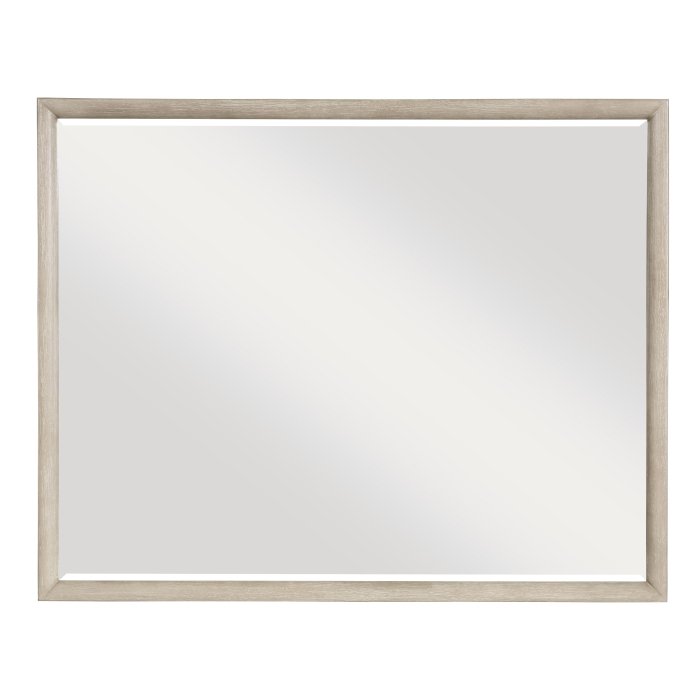 1820N-6 Mirror